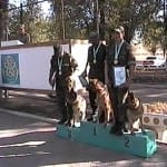 Лучшая розыскная собака Казахстана — Арго служит в Шымкенте (видео)