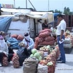 Стоимость картофеля зимой не вырастет. Овощехранилища будут сдерживать цену