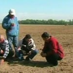 Крестьяне ЮКО отказываются от инноваций в сельском хозяйстве