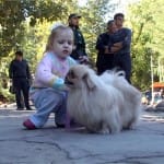 Повторную паспортизацию ветеринары проведут среди домашних кошек и собак