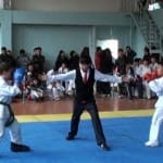 В юношеском чемпионате ЮКО приняли участие 100 таэквондистов