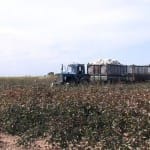 Новый способ выделения субсидий для фермеров предлагают эксперты