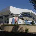 Найден французский бульдог