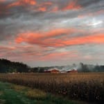 Американец выращивает скот в Казахстане