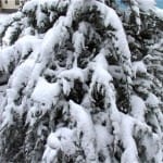 Первый снег выпал в Туркестанской области Снегопад