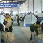 Первый рабочий день сотрудников «Шымкент-Кашемир»