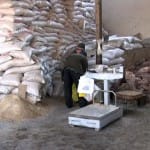 Корма для скота и птиц в Южном Казахстане подорожали