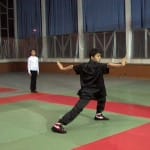 В Федерации ушу саньда ЮКО произошли большие изменения Ушу-Таолу - разновидность Ушу-Саньда