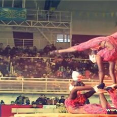 В Шымкент с яркой программой приехал астанинский цирк