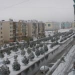 4 человека претендуют на каждый депутатский мандат