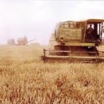 500 млн тенге направлены в сферу сельского хозяйства Туркестанской области