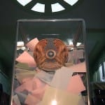 Самые активные избиратели это сельские жители