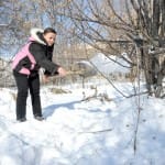 Шымкентские садоводы готовятся к весне