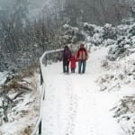 Погода шокирует весь мир