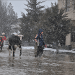 В связи с подтоплениями власти Южного Казахстана попросили помощи у правительства
