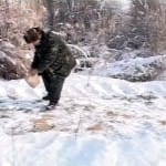 Диких птиц и зверей в лесхозах ЮКО открыты зимние столовые. Их кормят сеном и зерном