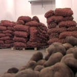 Кыргызским аграриям в Шымкенте предоставят бесплатные склады