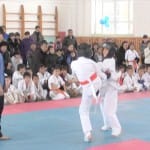 Впервые в Шымкенте прошел городской турнир по «Каратэ Кекушинкай»