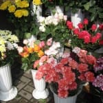 На 8 марта казахстанцы будут отдыхать три дня