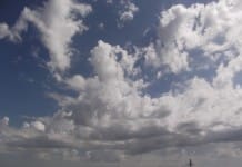 Прогноз погоды на 19 марта В Шымкент пришла настоящая весна