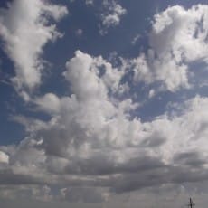 Прогнозы синоптиков на праздничные дни В Шымкент пришла настоящая весна