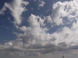 В Шымкент пришла настоящая весна