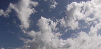 Какую погоду ожидать в ближайшие 3 дня в Шымкенте В Шымкент пришла настоящая весна