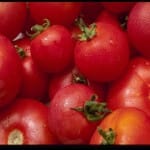 Тысячи килограммов помидоров контрабандист выдавал за веники