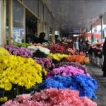 Цветы на 8 марта резко подорожали