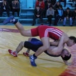 Чемпионат ЮКО по греко-римской борьбе среди взрослых прошел в Шымкенте