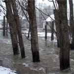 Южан призывают помочь тем, кто пострадал от наводнения в Южном Казахстане