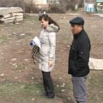 Бродячих собак в Шымкенте отстреливают в середине дня