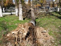 Ураган стал причиной порывов электросетей и газопроводов