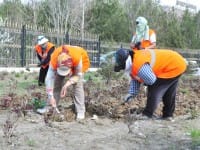 В какую сумму обходится озеленение Шымкента В 2012 году из городского бюджета Шымкента на озеленение пойдет 180 миллионов тенге.