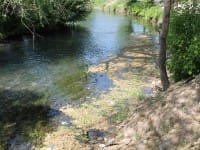 Реке Кошкарата придан особый статус