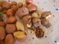 В Южном Казахстане учителям дают заработную плату испорченными овощами