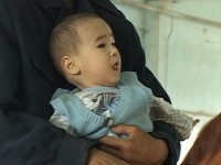 На ипподроме Шымкента будет создан Центр иппотерапии Дети приезжают сюда раз в неделю