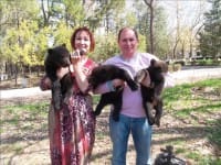 Медвежата в шымкентском зоопарке впервые «вышли в свет» (фоторепортаж)