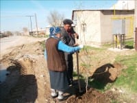В микрорайоне Казыгурт ветераны посадили 400 саженцев
