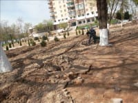 В центральном парке Шымкента вместо ресторана появится сквер