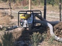 Дело о хищении водопроводных 344 миллионов рассматривают в Толебийском суде
