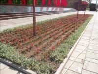 Отдел культуры и развития языков города Шымкента представил программу на майские праздники
