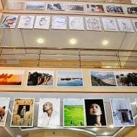 Выставка фотографий разместилась в фойе ТК «Отырар»