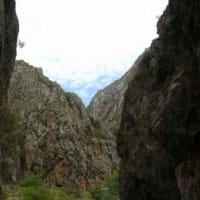 Трех подростков спасли в ущелье Бургулюк