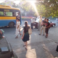 мкр Восток. Вместо остановки дерево и скамейка