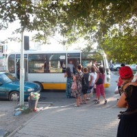 Летом дерево еще служит защитой. А зимой люди стоят под открытым небом