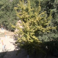 2012-08-22-15.39.45