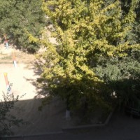 2012-08-22-15.39.57