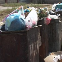 В мусорном баке найдено тело новорождённого младенца Мусорные баки переполнены и их уже давно не чистили