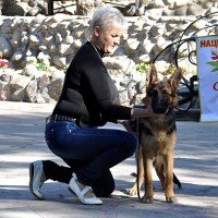 13 Джизель ( Немеццкая овчарка )